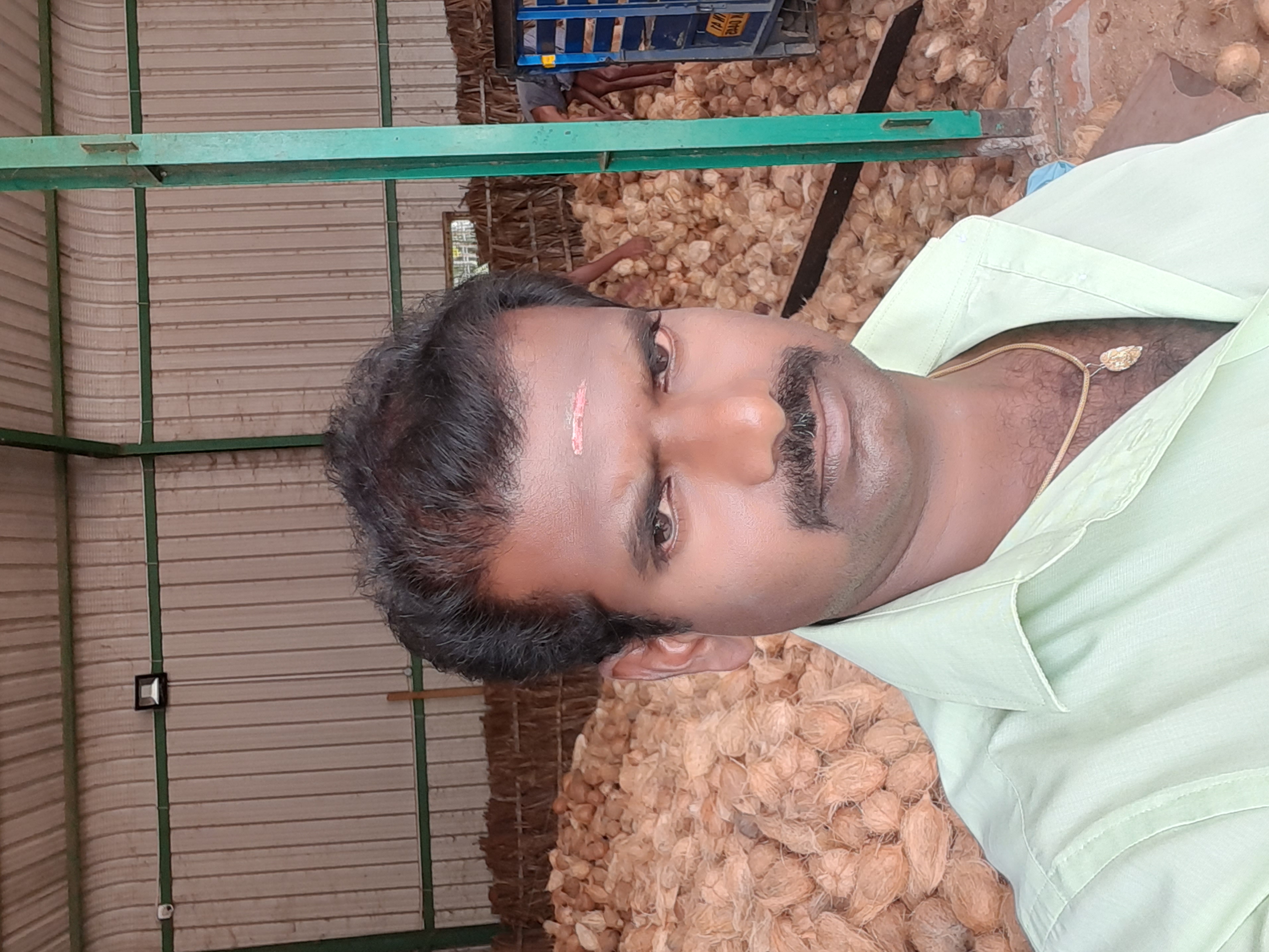 Pollachi coconut export